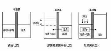 ro膜是什么？為什么說它是凈水器的靈魂？