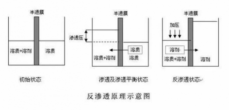 ro膜是什么？為什么說它是凈水器的靈魂？  hot