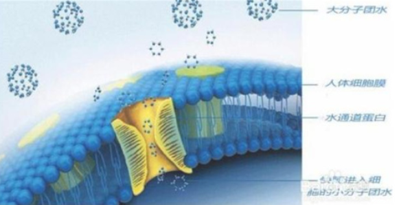 什么是小分子水 納米小分子水凈水機(jī)