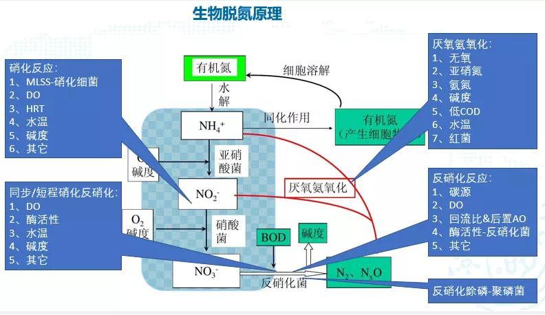 碳中和趨勢(shì)下污水處理節(jié)能降耗技術(shù)需求解讀