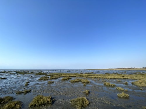 寧夏農(nóng)村生活污水治理越來(lái)越“智慧”