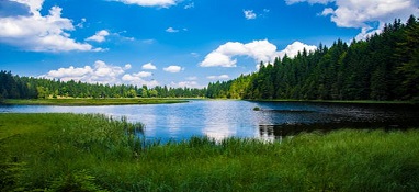 雙碳背景下 北控水務(wù)積極開展河湖治理 推動(dòng)水生態(tài)環(huán)境質(zhì)量顯著改善